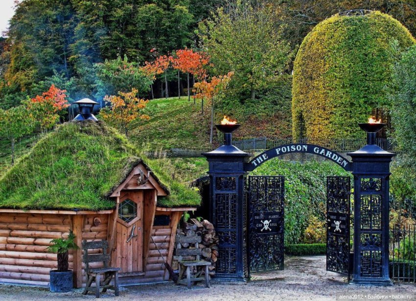 План идеального убийства. Сад ядовитых растений герцогини Нортумберлнедской