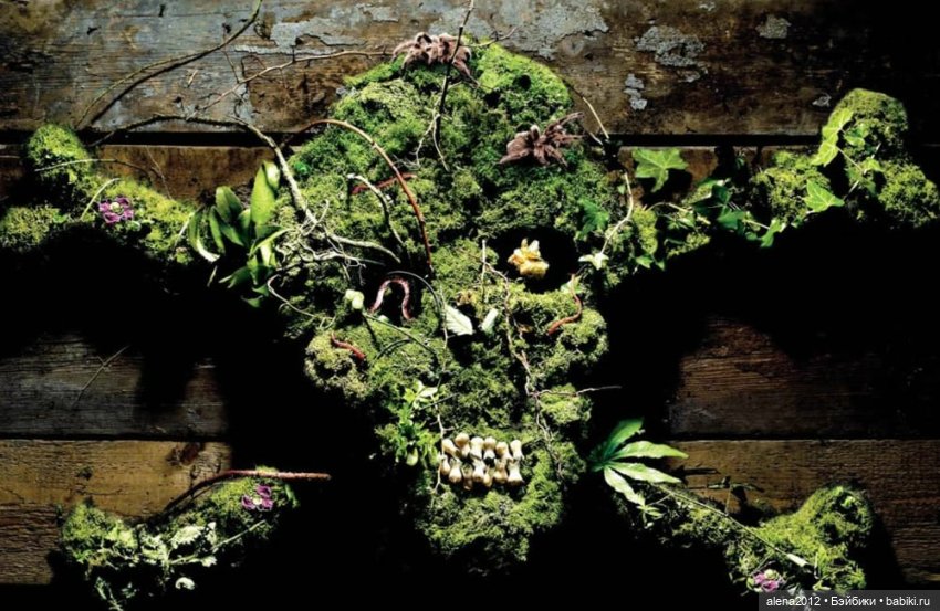 План идеального убийства. Сад ядовитых растений герцогини Нортумберлнедской (фото 7)