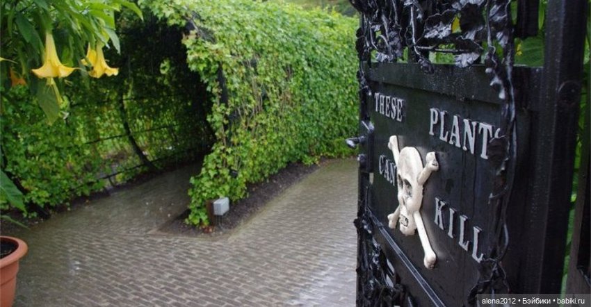 План идеального убийства. Сад ядовитых растений герцогини Нортумберлнедской