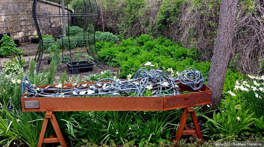 План идеального убийства. Сад ядовитых растений герцогини Нортумберлнедской