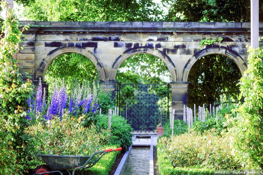 План идеального убийства. Сад ядовитых растений герцогини Нортумберлнедской