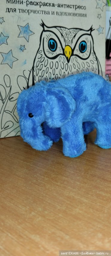 Синий слоник — Другие хобби и увлечения: сад (фото 5)