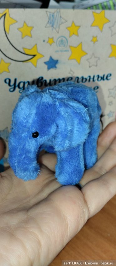 Синий слоник — Другие хобби и увлечения: сад (фото 3)