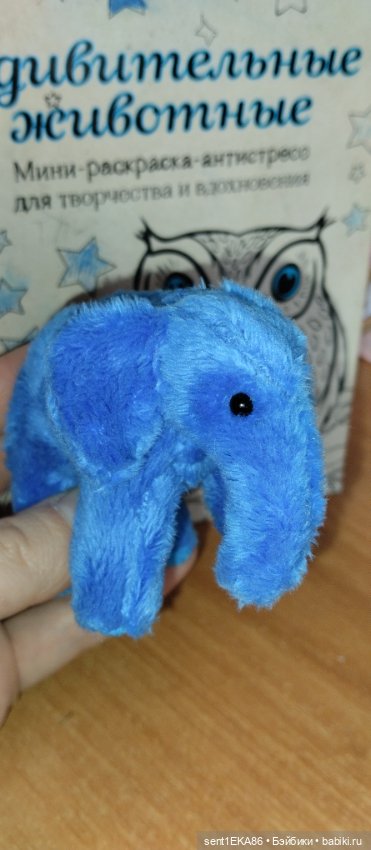 Синий слоник — Другие хобби и увлечения: сад (фото 2)