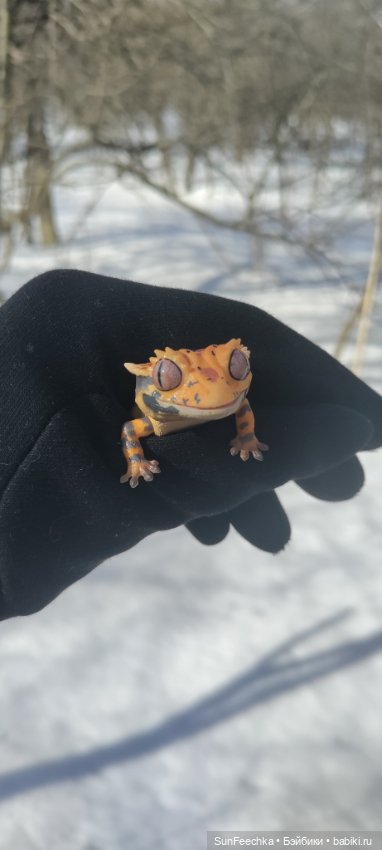 Весна для всех — Коллекционные экшн (фото 8)