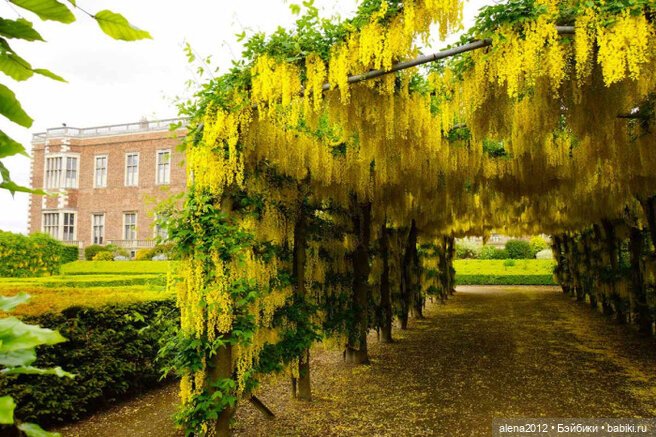 План идеального убийства. Сад ядовитых растений герцогини Нортумберлнедской
