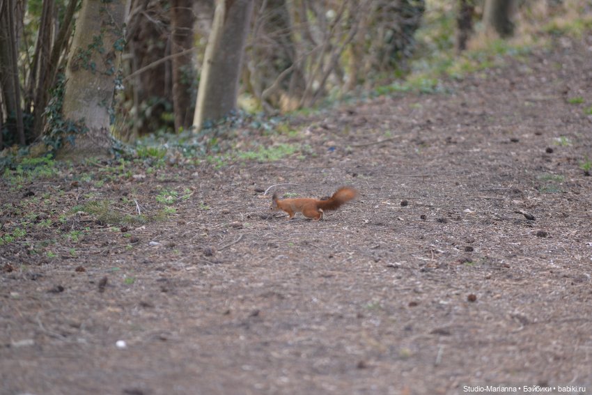 Куколка марта и подготовка к пасхе