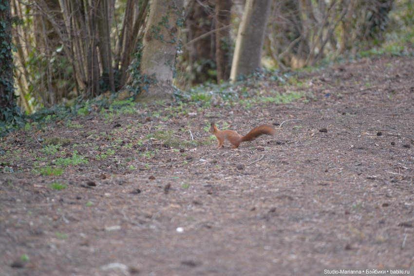 Куколка марта и подготовка к пасхе