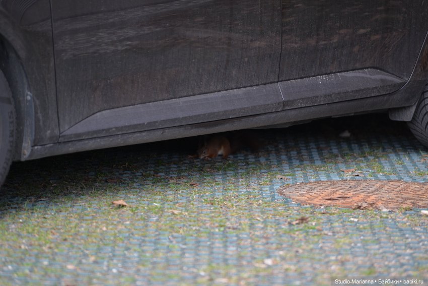 Куколка марта и подготовка к пасхе