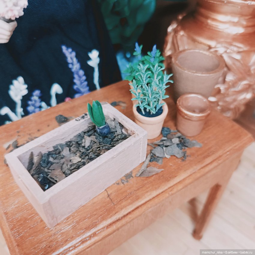 Оранжерея Миранды 🌿 — Куклы Phicen (TBLeague/Фицен): бесшовные тела (фото 3)