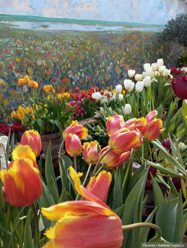 Весенняя тема: девушки и цветы (фото 8)