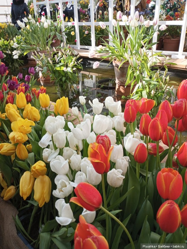 Весенняя тема: девушки и цветы