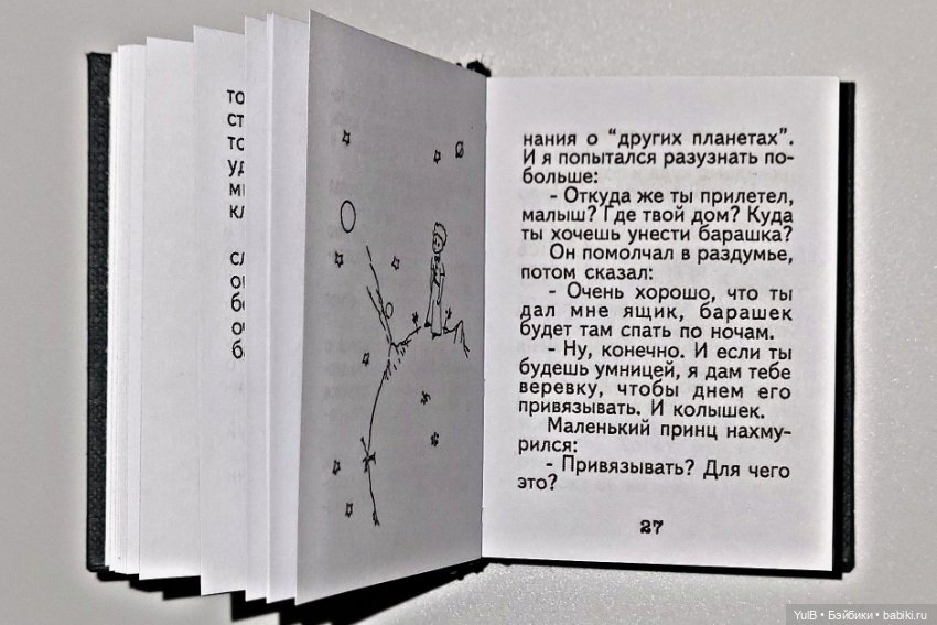 Маленький миниатюрный Принц (фото 6)