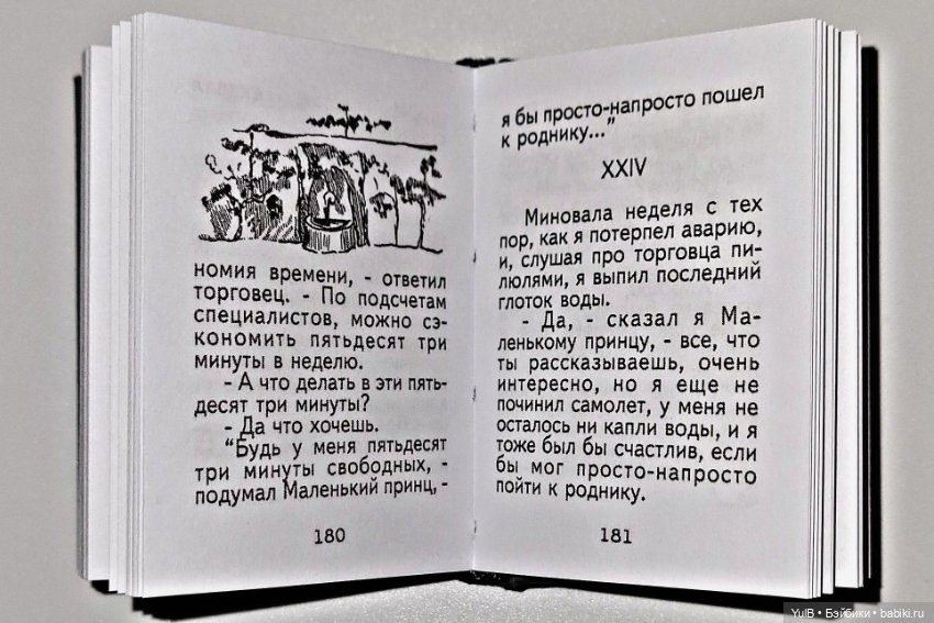 Маленький миниатюрный Принц (фото 10)