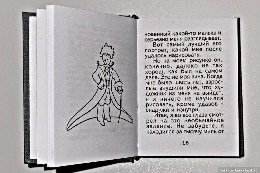 Маленький миниатюрный Принц (фото 5)