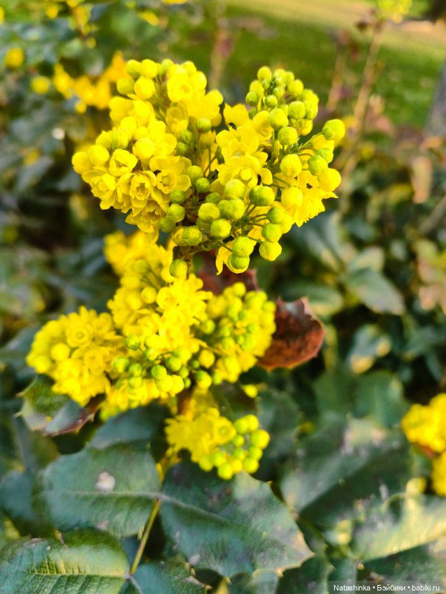 Музыкальная История 106 — Туризм и путешествия: фотоотчеты из поездок