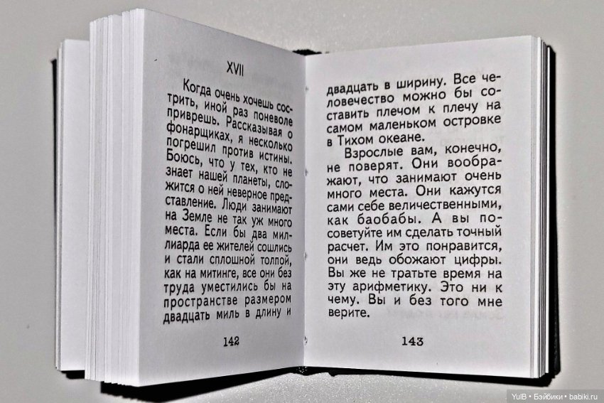 Маленький миниатюрный Принц (фото 9)