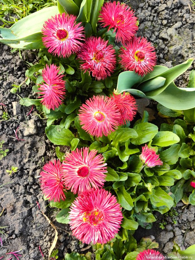 Музыкальная История 106 — Туризм и путешествия: фотоотчеты из поездок