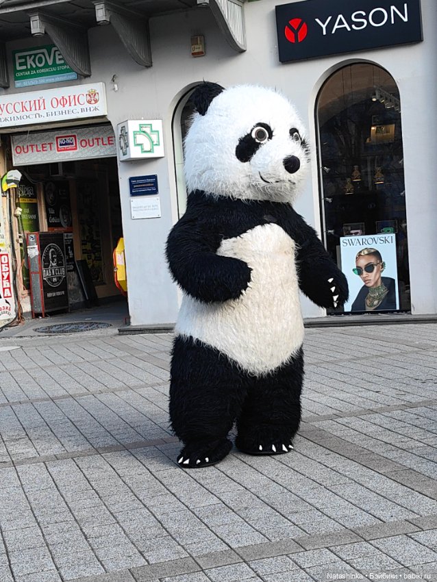 Музыкальная История 106 — Туризм и путешествия: фотоотчеты из поездок