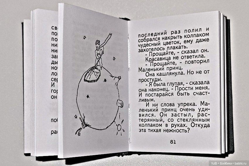 Маленький миниатюрный Принц (фото 8)