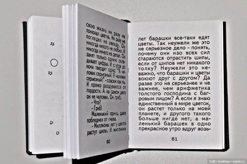 Маленький миниатюрный Принц (фото 7)