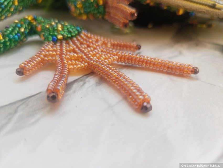 Прынц — Другие хобби и увлечения: сад (фото 5)