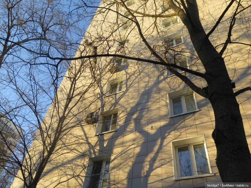 Аптекарский огород и Extra Mini Minis (фото 8)