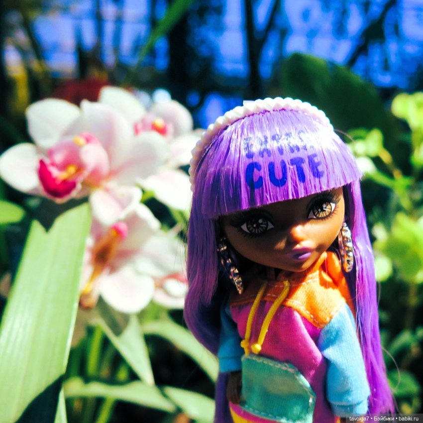 Аптекарский огород и Extra Mini Minis