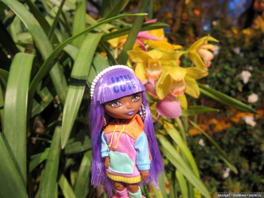 Аптекарский огород и Extra Mini Minis