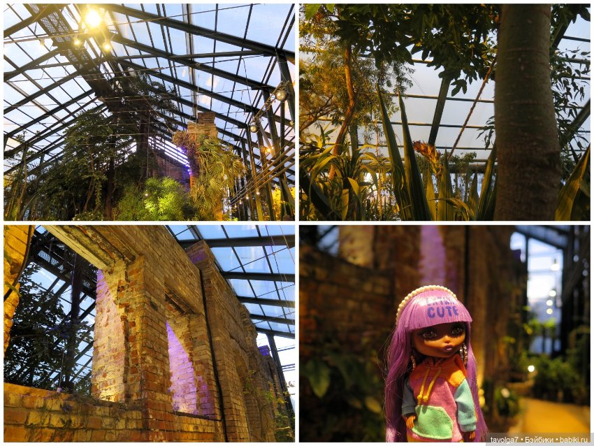 Аптекарский огород и Extra Mini Minis