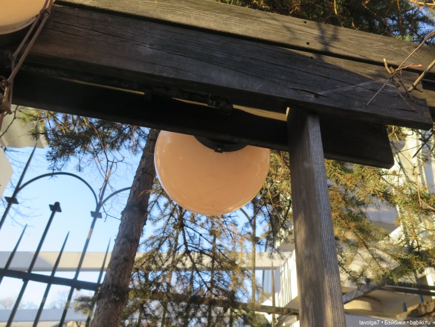 Аптекарский огород и Extra Mini Minis (фото 4)