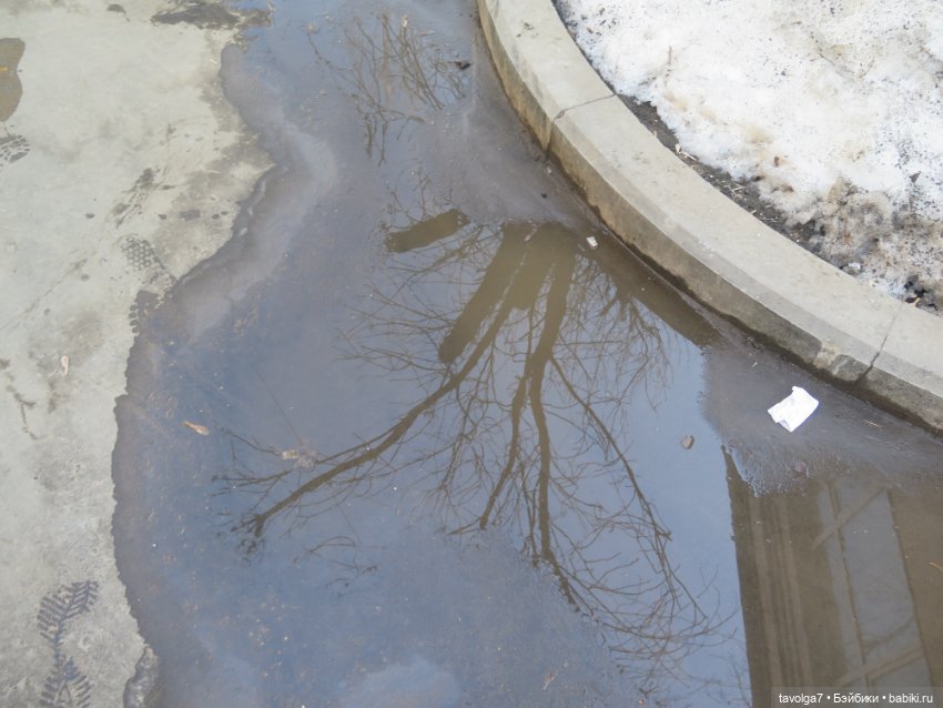 Аптекарский огород и Extra Mini Minis (фото 10)