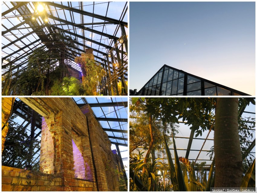 Аптекарский огород и Extra Mini Minis