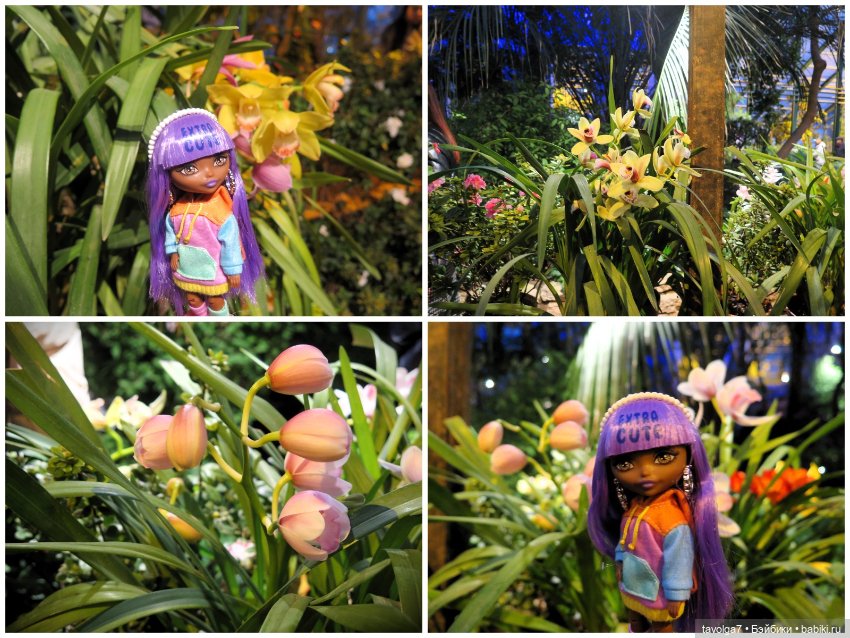 Аптекарский огород и Extra Mini Minis