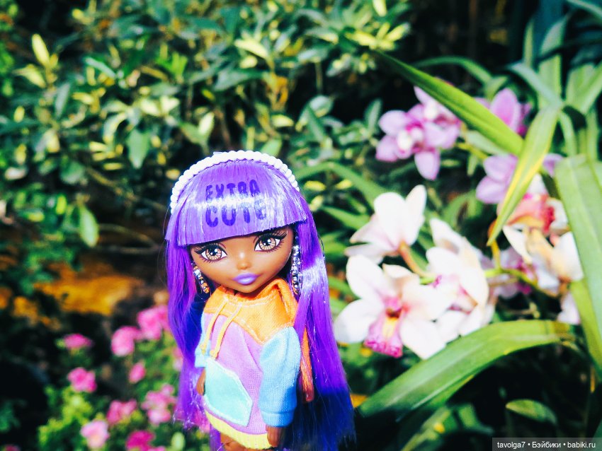 Аптекарский огород и Extra Mini Minis