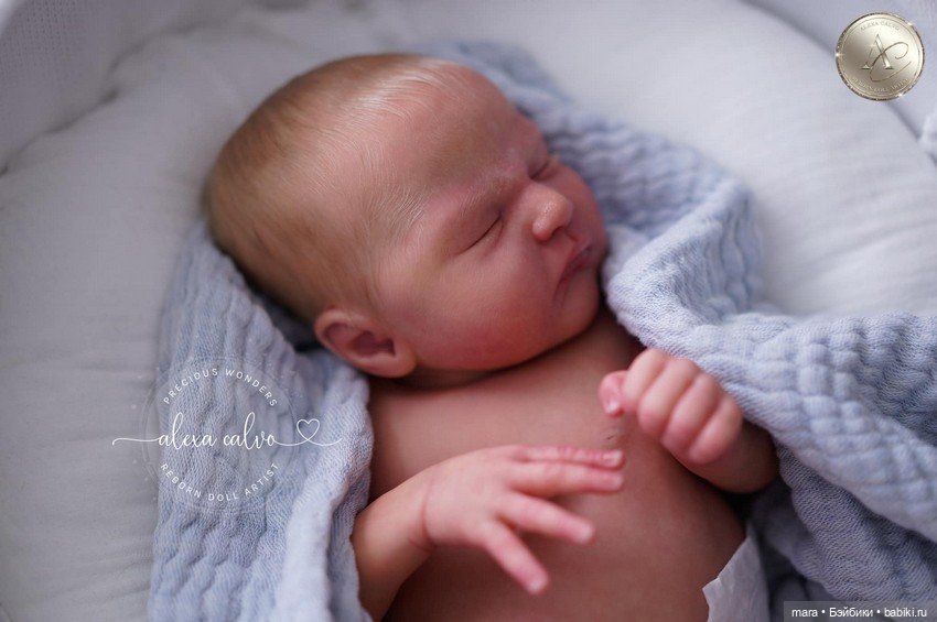 Zachary скульптора Lisa Stone, автор прототипа Alexa Calvo (фото 9)