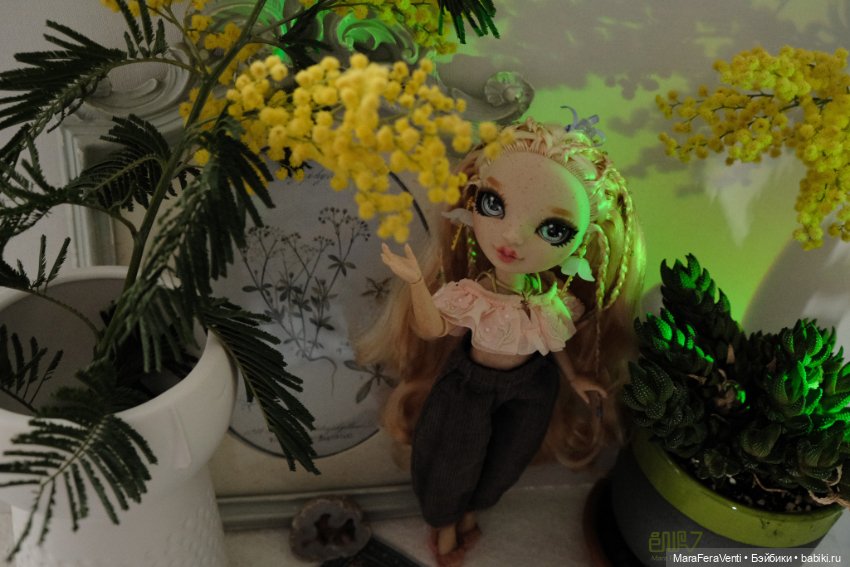 Фотосессия с мимозой — Куклы Rainbow High (Рейнбоу Хай (фото 10)
