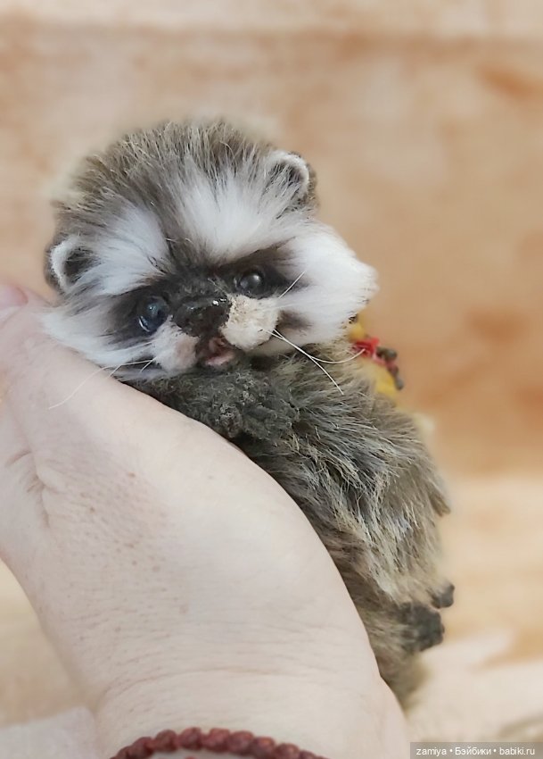 Крошка енот Сема — Авторские мишки Тедди и друзья: фото (фото 4)