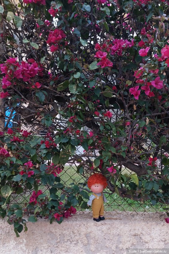 Ах, Мио! Давай прогуляемся перед сном