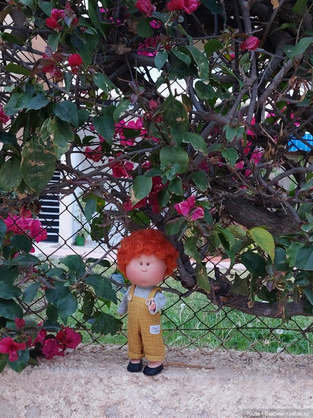 Ах, Мио! Давай прогуляемся перед сном (фото 2)