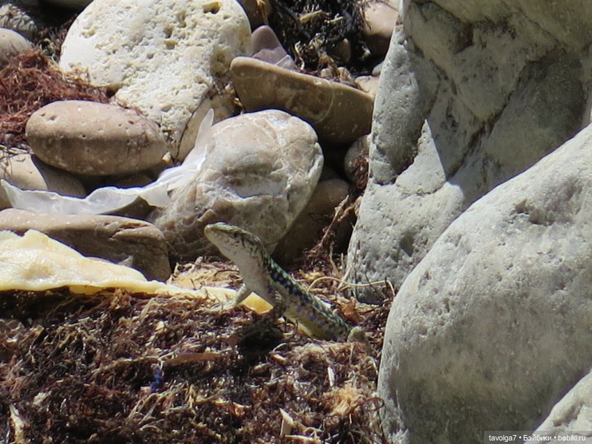 Туризм и путешествия: фотоотчеты из поездок