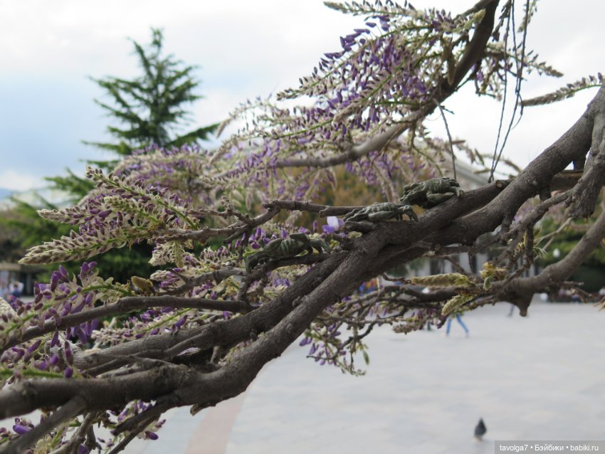 Туризм и путешествия: фотоотчеты из поездок (фото 9)