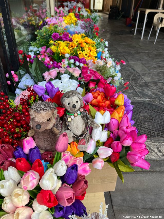 Музыкальная История 107 — Туризм и путешествия: фотоотчеты из поездок (фото 9)