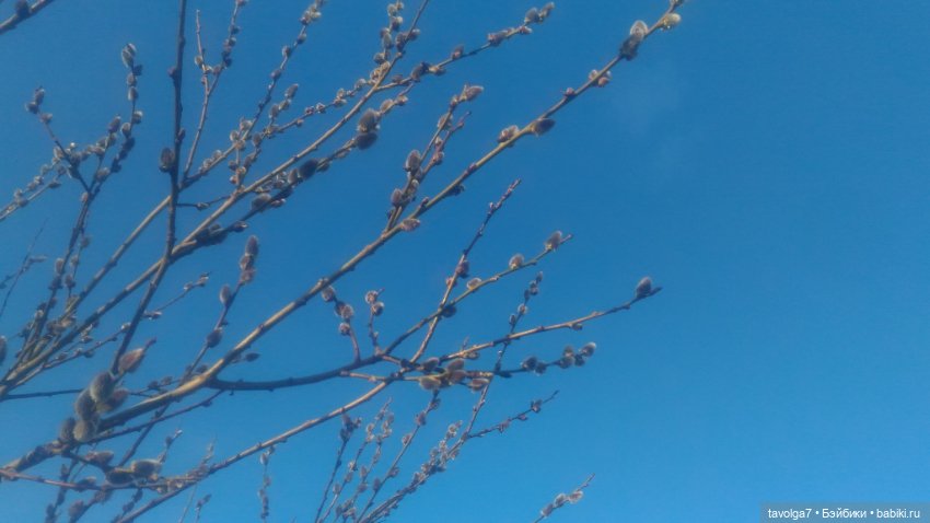 И снова Питер — Туризм и путешествия: фотоотчеты из поездок (фото 7)