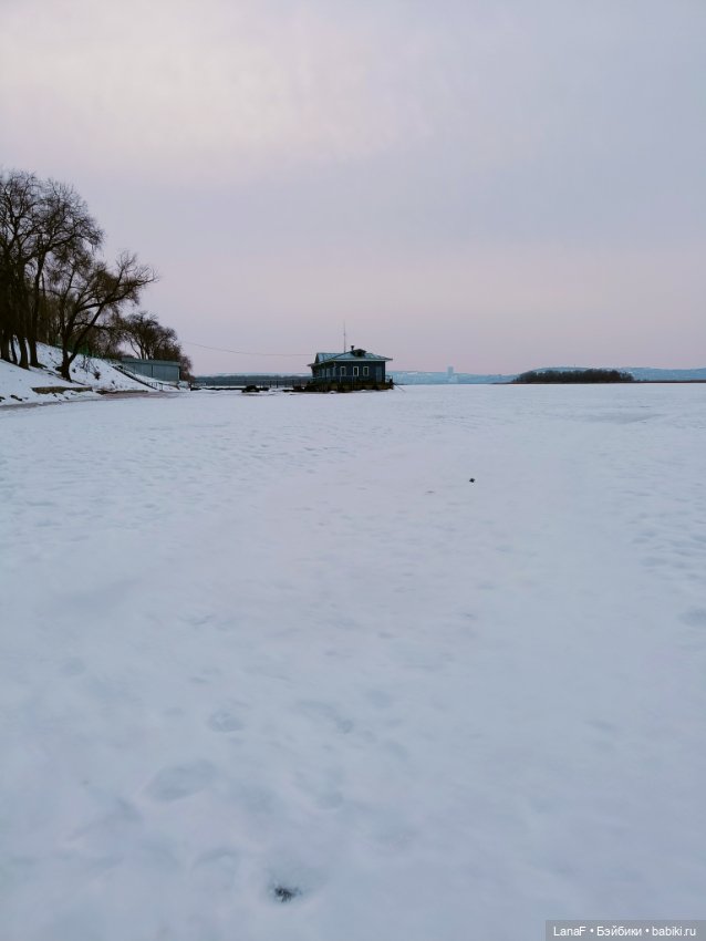 Пешком по Волге с Элиной. Весна с мини адорой (фото 10)