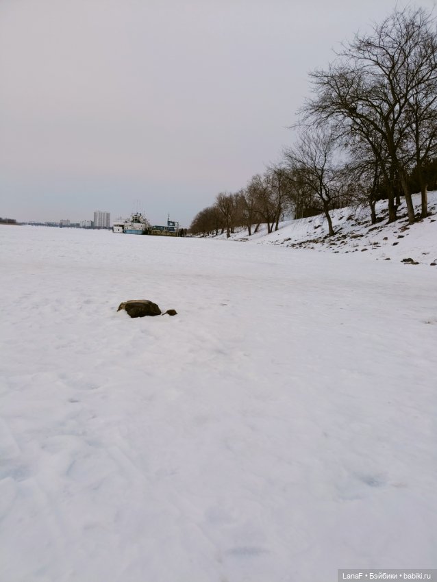 Пешком по Волге с Элиной. Весна с мини адорой