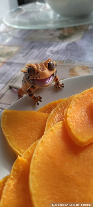 Гошка везде сущий — Коллекционные экшн