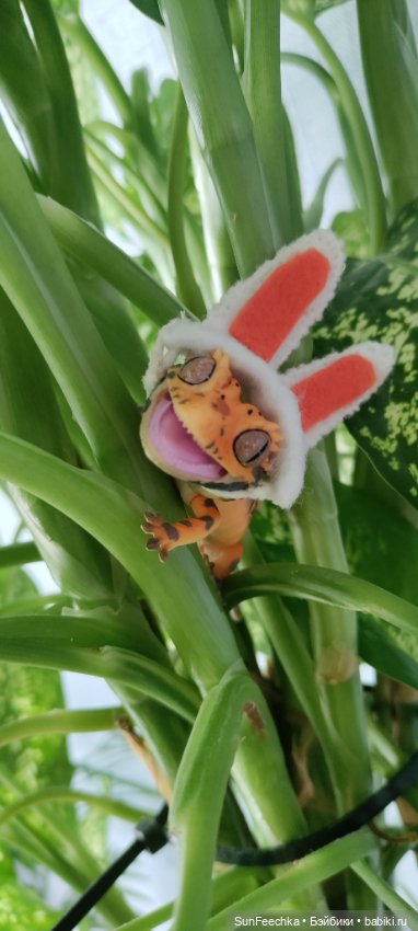 Гошка везде сущий — Коллекционные экшн (фото 2)