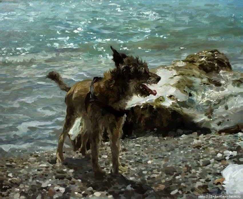 Константин Лупанов — Интересное и необычное: фотоподборки