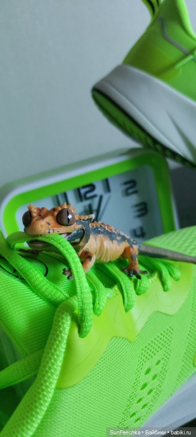 Гошка везде сущий — Коллекционные экшн (фото 6)